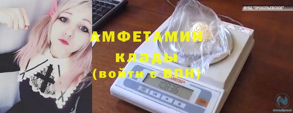 гидра Алексеевка