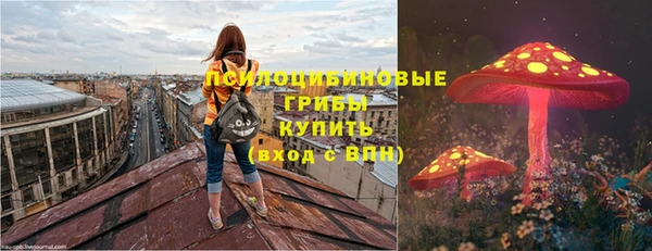 apvp Аркадак