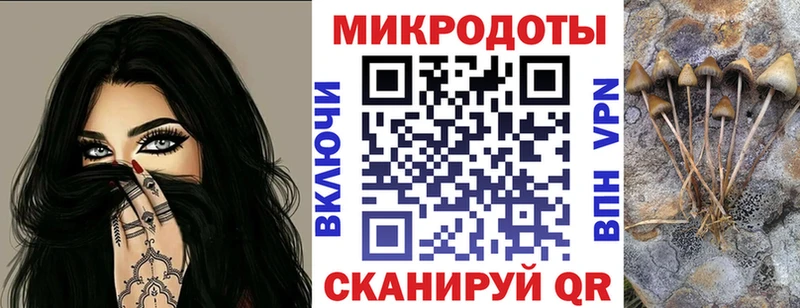 Купить закладки  Каменногорск  Галлюциногенные грибы ЛСД 